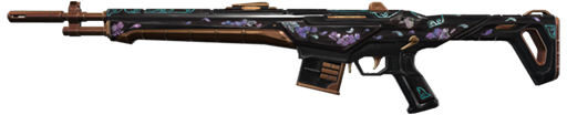 weapon skin image Yoonseul Guardian